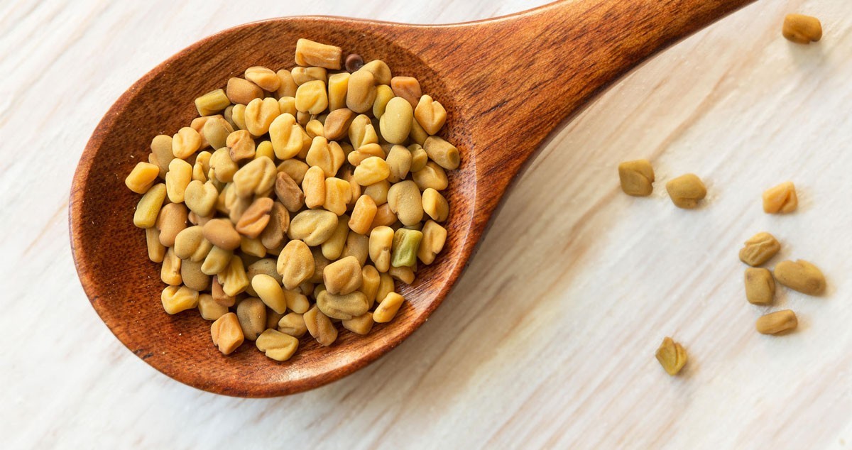 اهم فوائد حبوب الحلبة للجسم 1 فوائد حبوب الحلبة