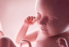 حكم اجهاض الجنين