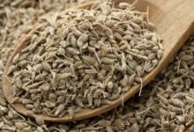 تجربتي مع اليانسون لزيادة الوزن 26 تجربتي مع اليانسون لزيادة الوزن