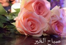 اجمل خلفيات صباح الخير 57 خلفيات صباح الخير