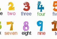 كيف تنطق الارقام بالانجليزية بسهولة ؟ 29 كيف تنطق الارقام بالانجليزية