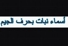 أسماء نبات بحرف الجيم 27 14