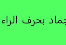 أسماء جماد بحرف الحاء 20 أسماء جماد بحرف الحاء