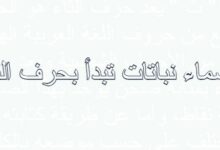 أسماء نباتات تبدأ بحرف الثاء 27 أسماء نباتات تبدأ بحرف الثاء
