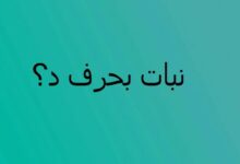 أسماء نباتات تبدأ بحرف الدال 20 أسماء نباتات تبدأ بحرف الدال