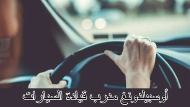 اهم معلومات عن أوسبيلدونغ مدرب قيادة السيارات 29 أوسبيلدونغ مدرب قيادة السيارات