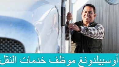 اهم معلومات عن أوسبيلدونغ موظف خدمات النقل 7 أوسبيلدونغ موظف خدمات النقل