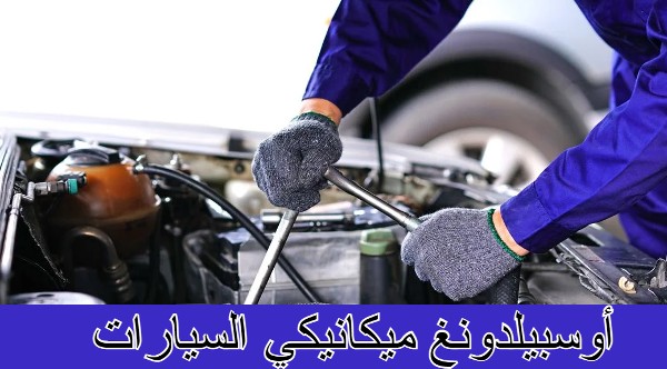 اهم معلومات عن أوسبيلدونغ ميكانيكي السيارات 1 أوسبيلدونغ ميكانيكي السيارات