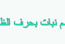 اسم نبات بحرف الظاء 27 اسم نبات بحرف الظاء