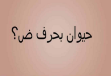 أسماء حيوانات بحرف الضاد 21 حرف الضاد