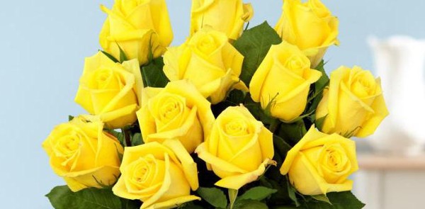 دلائل الورد الأصفر وتفسيره بالمنام 1 دلائل الورد الأصفر