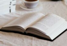 رواية قلوب من حزن وعقول من سراب 20 قلوب من حزن وعقول من سراب