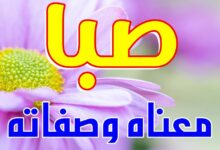 معنى اسم صبا وصفاته 27 معنى اسم صبا