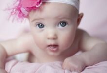 معنى اسم كنده واهم صفاته 27 معنى اسم كنده