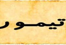 معنى اسم تيمور وأهم صفاته 20 معنى اسم تيمور