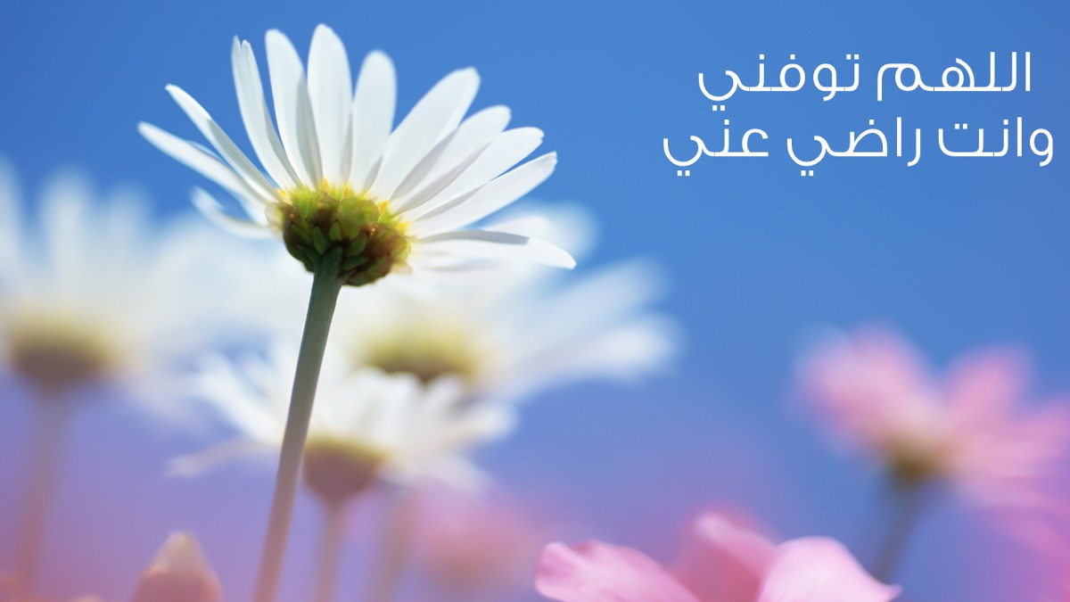 خلفيات دينية جميلة ومميزة 1 خلفيات دينية جميلة جدا11