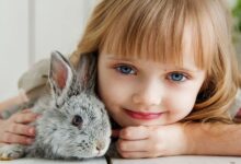 عيوب اسم فاطمة وأبرز صفاته ومميزاته 21 mm