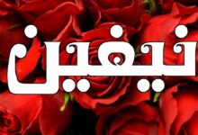 دلع اسم نيفين وأهم صفاته 21 دلع اسم نيفين