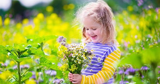 معنى اسم جنات ومميزاته 3 معنى اسم جنات3