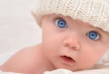 معنى اسم عمر وحظه في الزواج 21 معنى اسم عمر9