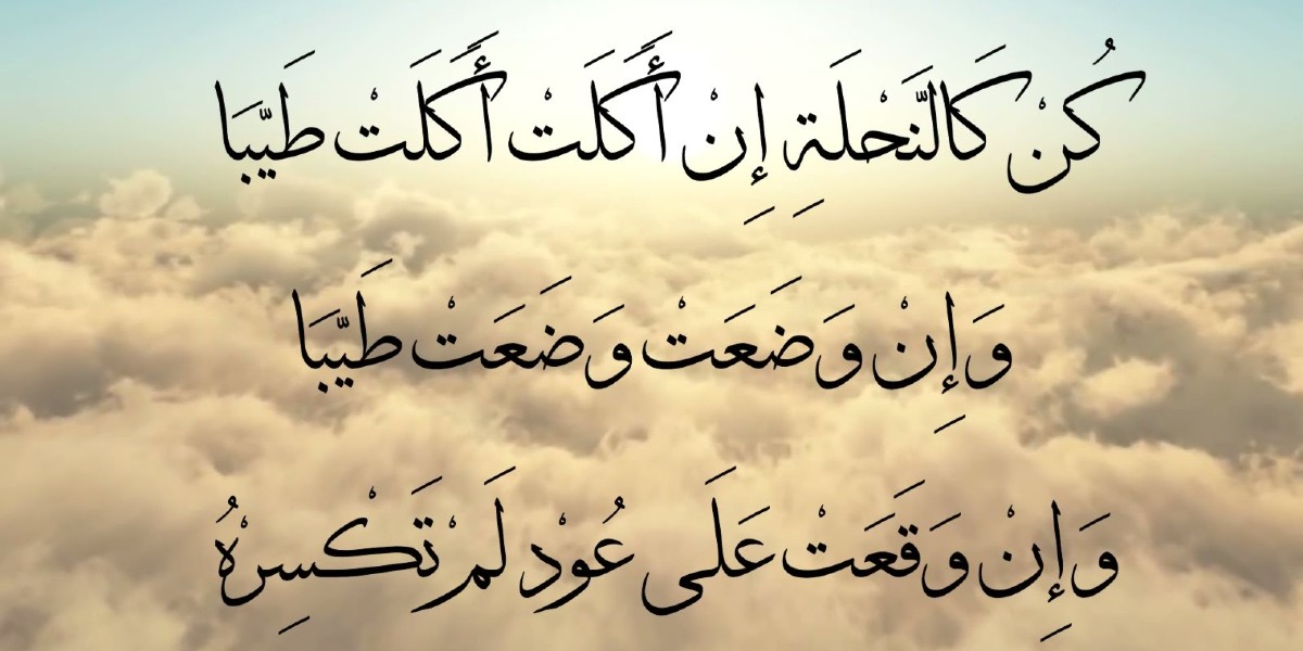 اهم مقولات خلدها التاريخ الإسلامي 1 مقولات خلدها التاريخ