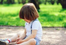 معنى اسم شاهين وصفته 20 معنى اسم شاهين