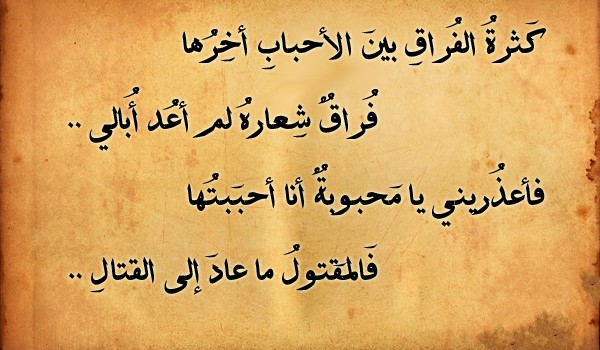 أجمل ما قال الحكماء عن السعادة 4 أجمل ما قال الحكماء عن السعادة