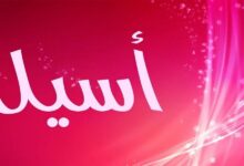 عيوب اسم اسيل وأهم صفاته 26 aa