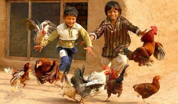 أجمل ماقيل عن البساطة 2 أجمل ماقيل عن البساطة