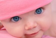 دلع إسم رسلان وأبرز صفاته 28 دلع إسم رسلان