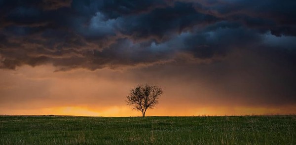 تطبيق Wallpaper HD