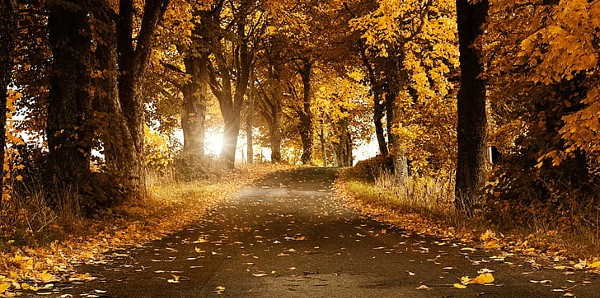 تطبيق Wallpaper HD