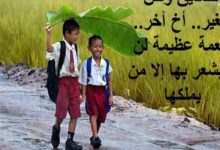 اجمل ما قيل في الصديق عبارات قصيره 29 اجمل ما قيل في الصديق عبارات قصيره