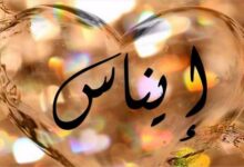 معنى اسم إيناس وأهم صفاته ومميزاته 29 معنى اسم إيناس