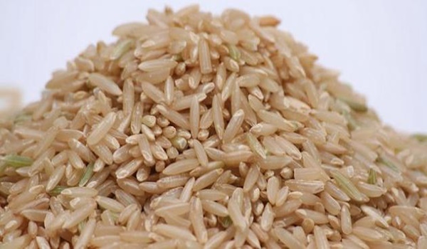 أكبر دولة منتجة للأرز والقمح في العالم