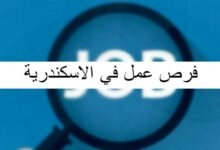 أهم فرص عمل في الاسكندرية بالتفصيل 27 فرص عمل في الاسكندرية
