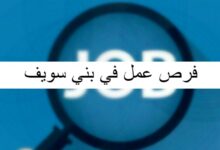 فرص عمل في بني سويف بالتفصيل 26 فرص عمل في بني سويف 1