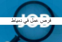أهم فرص عمل في دمياط بالتفصيل 20 فرص عمل في دمياط