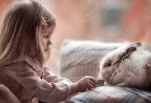 أسماء كردية للبنات مميزة 33 أسماء كردية للبنات4